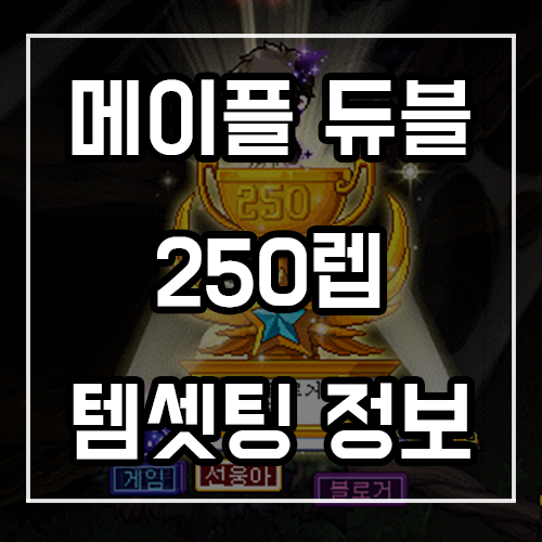 메이플스토리 듀블 템셋팅, 카루타셋 3카5앱 무기추옵 정보 메이플스토리 듀블 템셋팅, 카루타셋 3카5앱 무기추옵 정보