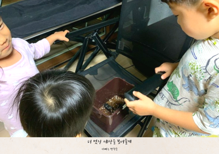 아빠와 아이가 함께 즐기기 좋은 취미 추천 아빠와 아이가 함께 즐기기 좋은 취미 추천