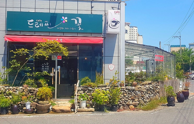  울산 커피숍, 야생화가 멋스러운 남구 삼호동 드레핀꽃 카페에서 힐링해요