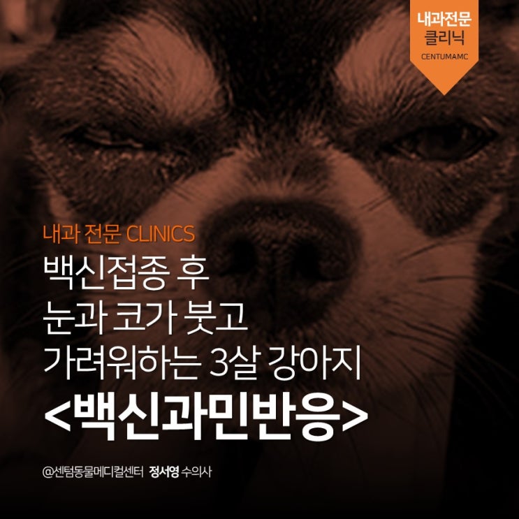 3살 강아지 예방접종 후 과민반응 (부산 수영구 연제구 남구 24시진료 동물병원 센텀동물메디컬센터)