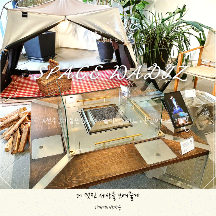 성수동 공간와디즈에서 즐긴 밀림 윈터피크닉 성수동 공간와디즈에서 즐긴 밀림 윈터피크닉