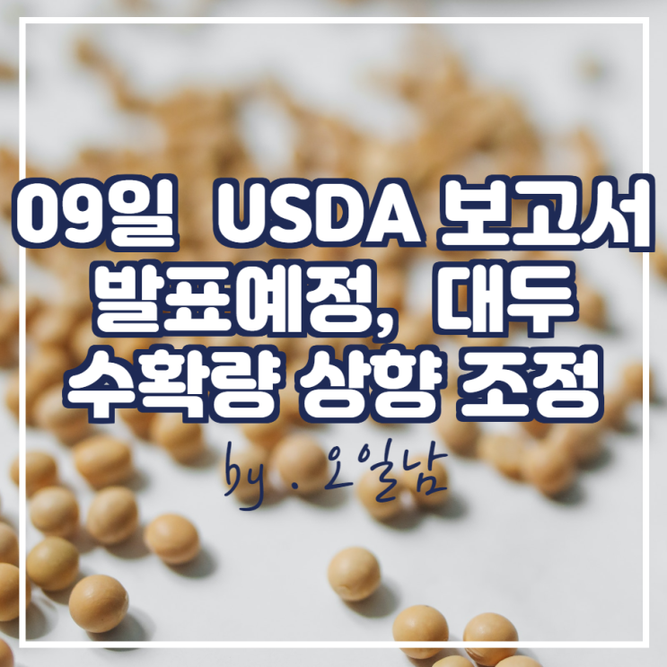 화요일 (09일) USDA 보고서 발표 예정 : 대두 수확량 상향 조정