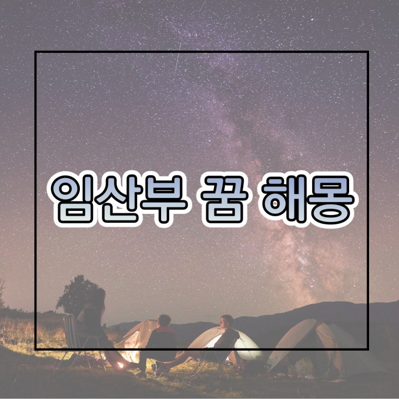 임산부 꿈해몽,임신꿈,태몽 정리✨