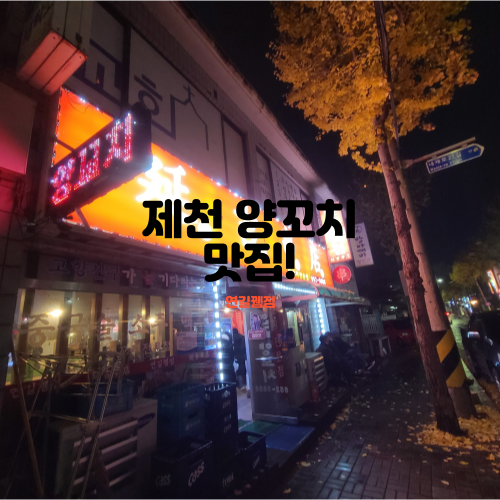  충북 제천 양 꼬치&칭 따 오 - 연길뀀점
