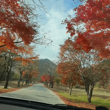  5대적멸보궁 영월법흥사 적멸보궁 법흥계곡캠핑