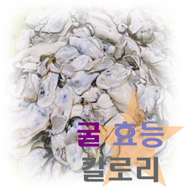  바다의우유 굴 효능 칼로리 알고 먹어요