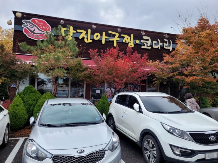  파주시 야당동 야당역 맛집 당진아구찜코다리
