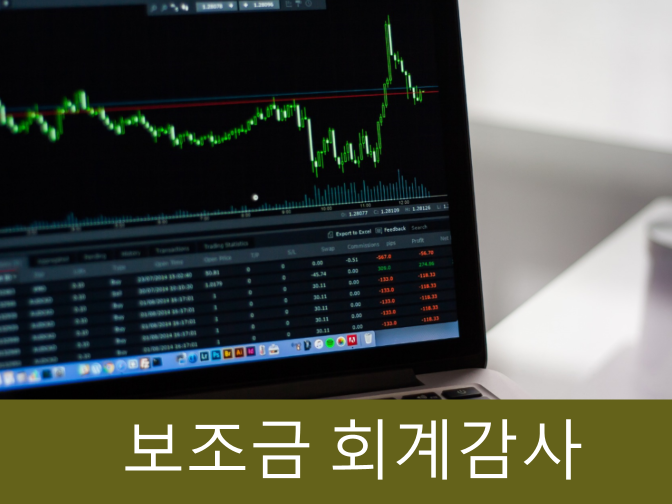  지방자치단체 보조금 회계감사