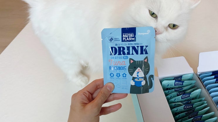  뉴트리플랜 고양이드링크로 고양이 음수량 늘리기