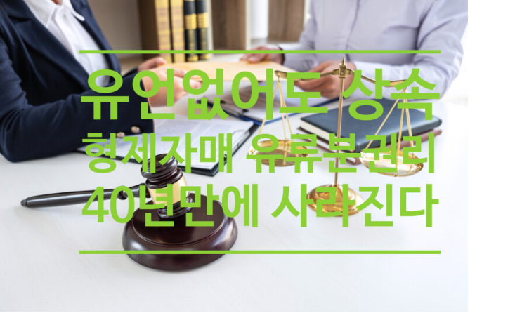  유언없어도 상속 형제자매의 유류분 권리 40년만에 사라진다