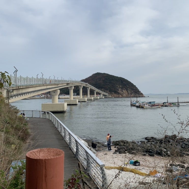  [소무위도] 둘레길 한바퀴. 누리길코스. 개인적으로 엄청난 후회. 난 이 여행 반댈세