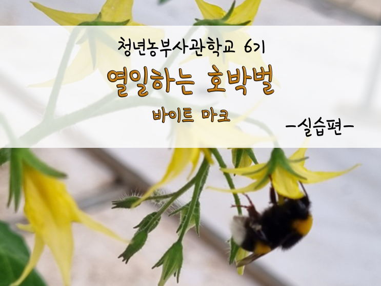  열일하는 호박벌, 바이트 마크!_211109
