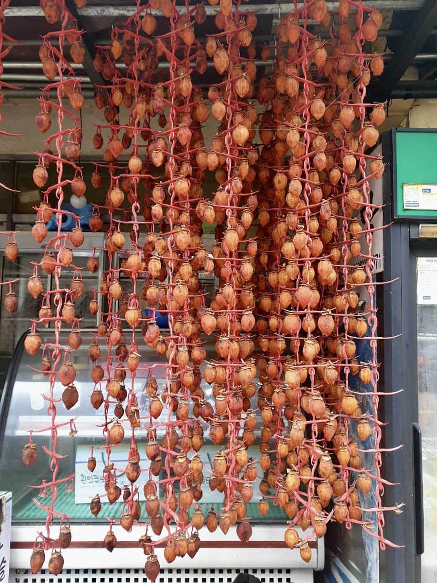 점등산 사진 4