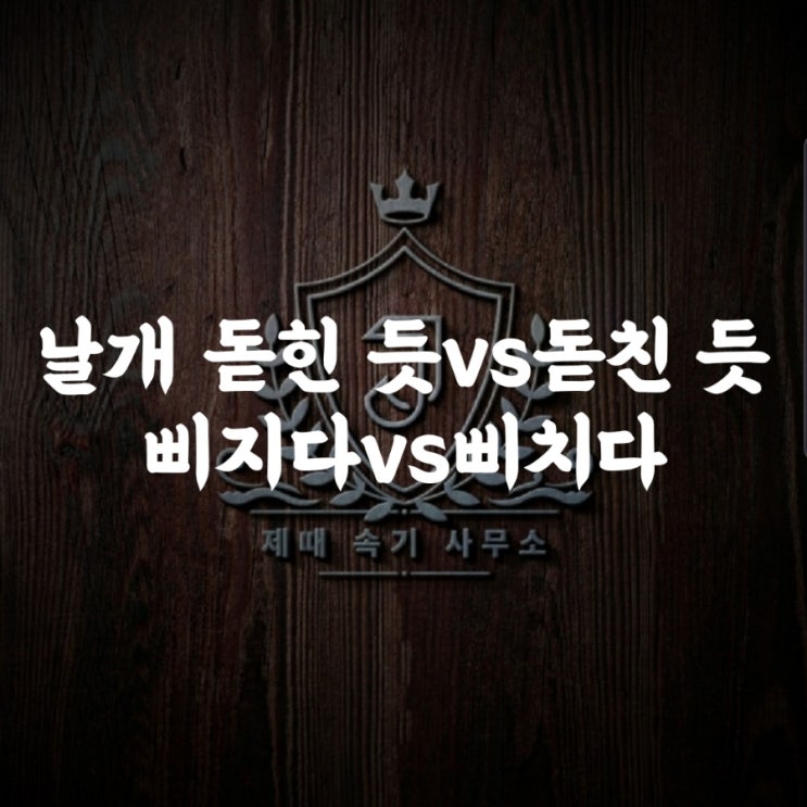  [맞춤법 47] 날개 돋힌 듯vs돋친 듯/삐지다vs삐치다