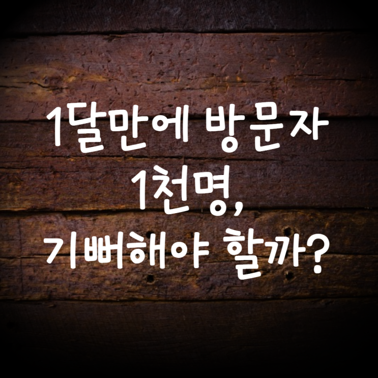  블로그 몸집불리기(3) 1달만에 방문자1천명? 이거 빼면 아무 의미 없습니다.