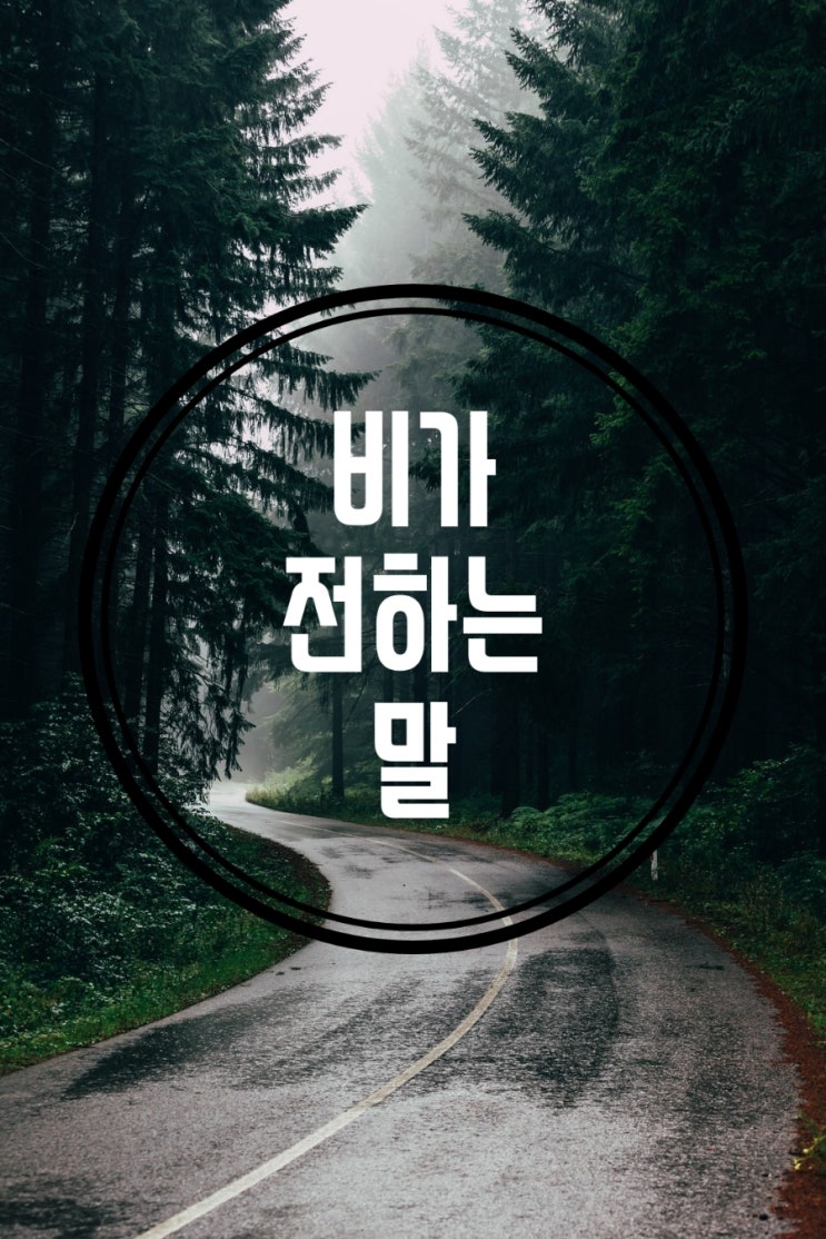  비오는날 읽고 싶은 시