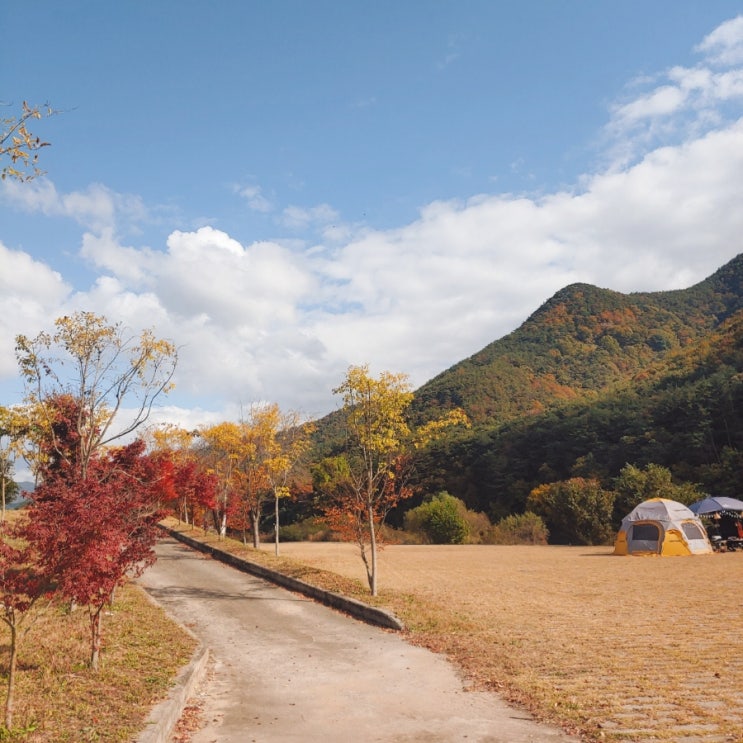  밀양 암새들, 산책하기 좋은 코스 추천해요!