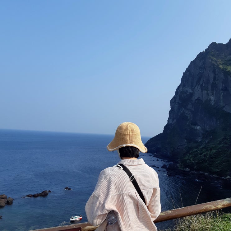  제주도 일일버스투어 제주1번가여행사(제주도 뚜벅이 여행 필수)