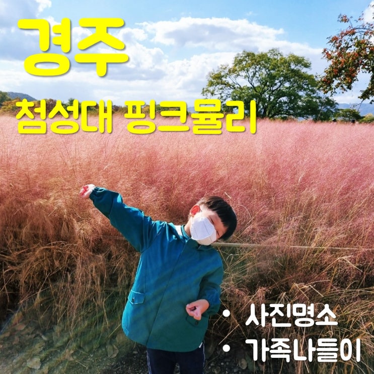  경주 첨성대 핑크 뮬리 6살 아이와 여행