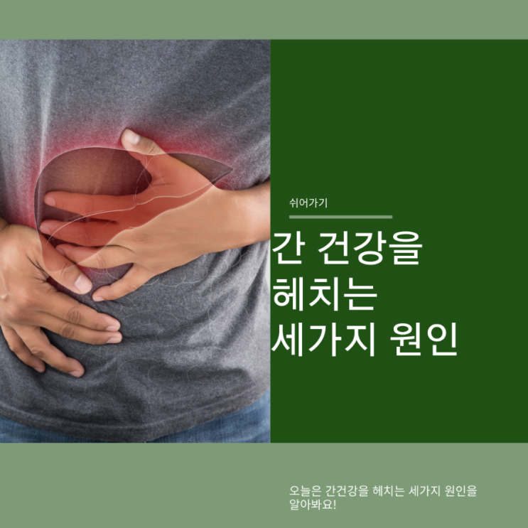  간 건강을 헤치는 세가지 원인
