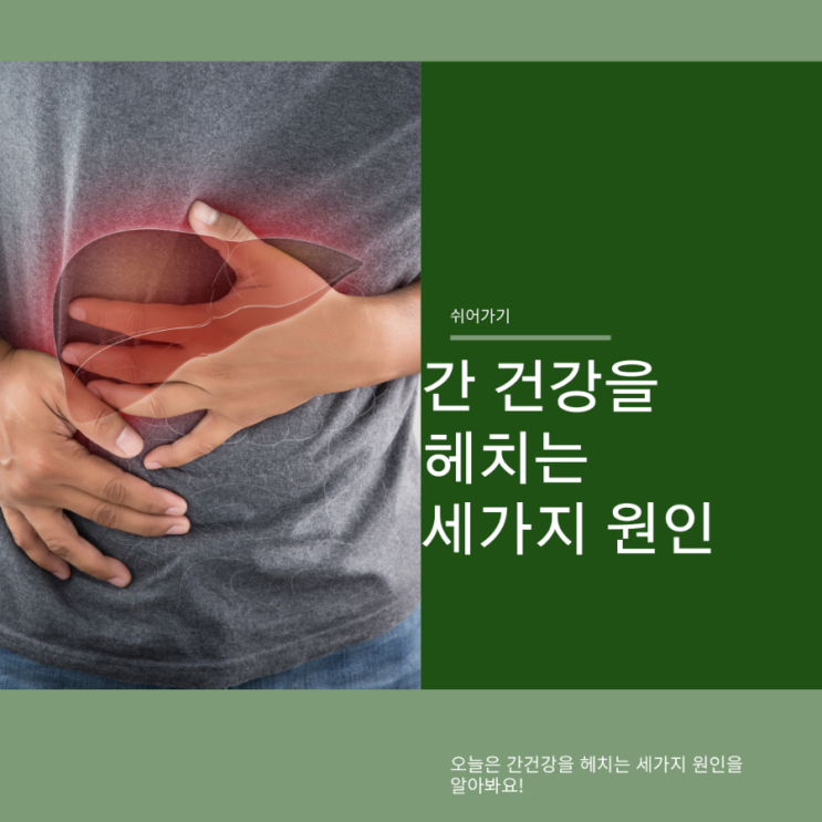 간 건강을 헤치는 세가지 원인