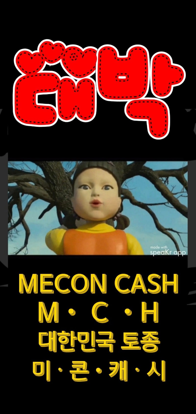 미ᆞ콘ㆍ캐ᆞ시 대한민국 토종 : 네이버 블로그