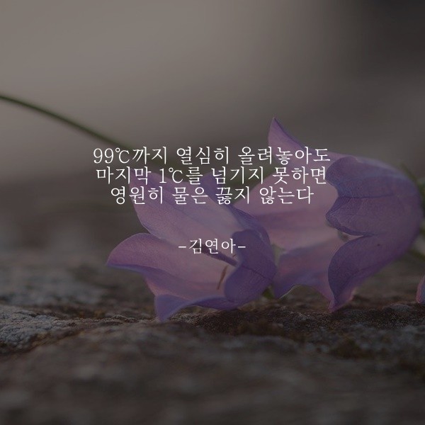  부거사이 [부동산 뉴스와 블로그] 11월 9일(화)