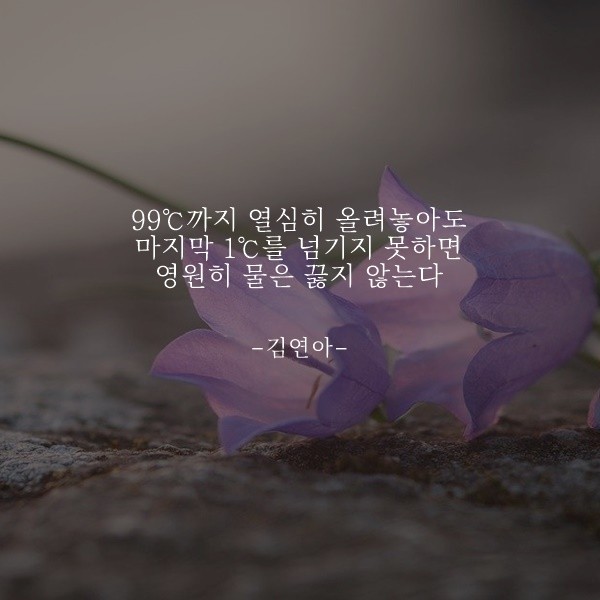 부거사이 [부동산 뉴스와 블로그] 11월 9일(화)