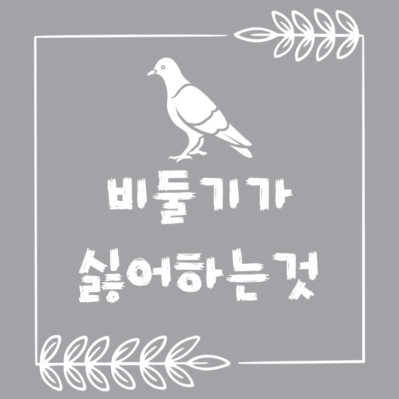 비둘기가 싫어하는 것 냄새? 동물? 사람?