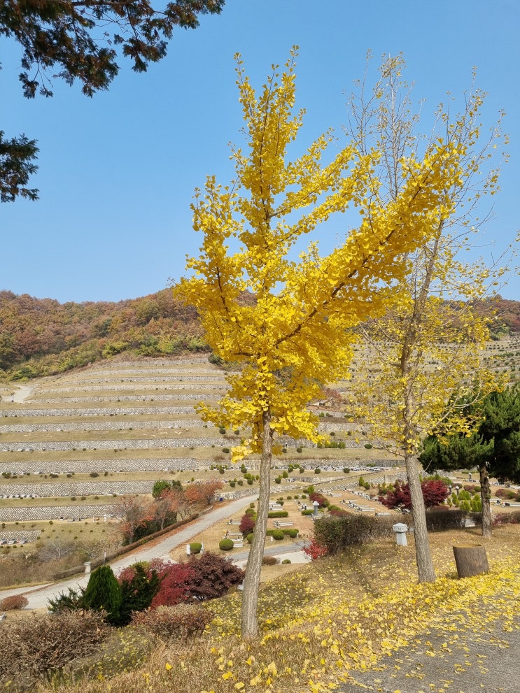  11월 4일, 충북 음성에 다녀온 기록