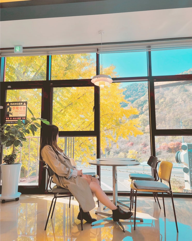  [화순] 세량제 가는길에 있는 은행나무 뷰가 예쁜 화순 카페 달의 뒷면 (ft. 화순 세량제)