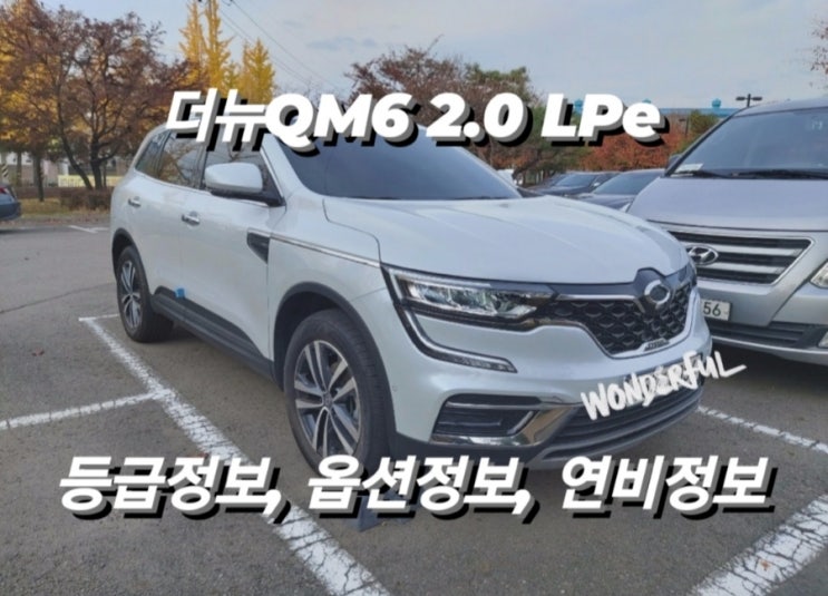  더뉴QM6 2.0 LPe 등급정보, 옵션정보, 연비정보
