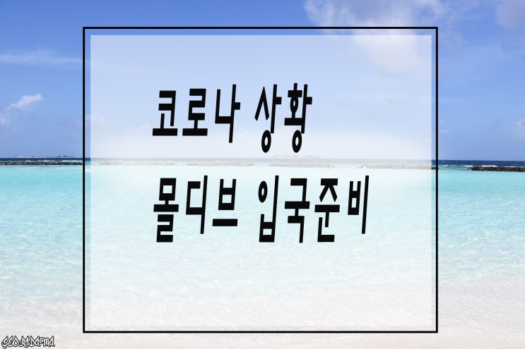  몰디브 여행 입국 준비, 코로나 PCR 검사 및 챙겨야 할 것!