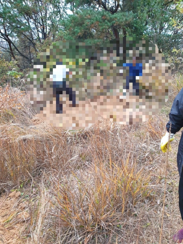  2021년 경북김천시 아포읍 대신리 산소 파묘후 화장 다른지역 안치 고인돌장묘개발장의사 #장의사 #화장 #산소이장