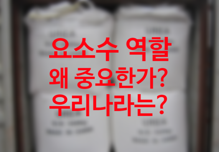 요소수 역할 왜 필요한가? 디젤 요소수 관련주와 요소수 대란 원인 이유 제조방법과 원재료 암모니아 (화학 반응식 알아보자.) 요소수 역할 왜 필요한가? 디젤 요소수 관련주와 요소수 대란 원인 이유 제조방법과 원재료 암모니아 (화학 반응식 알아보자.)