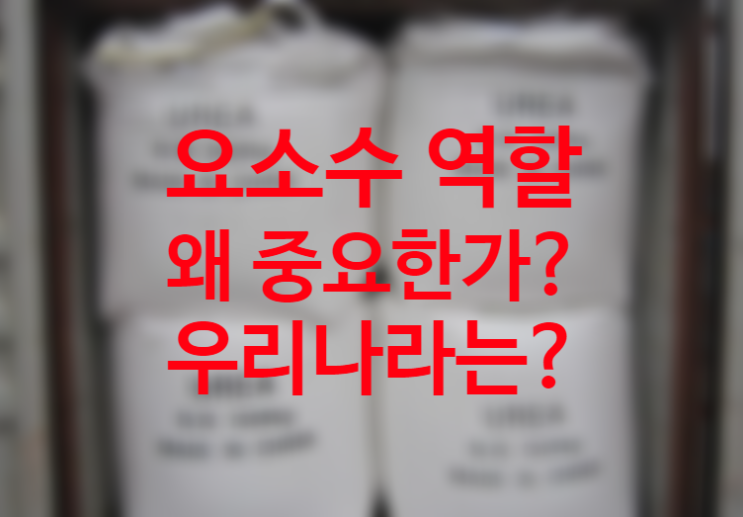 요소수 역할 왜 필요한가? 디젤 요소수 관련주와 요소수 대란 원인 이유 제조방법과 원재료 암모니아 (화학 반응식 알아보자.)