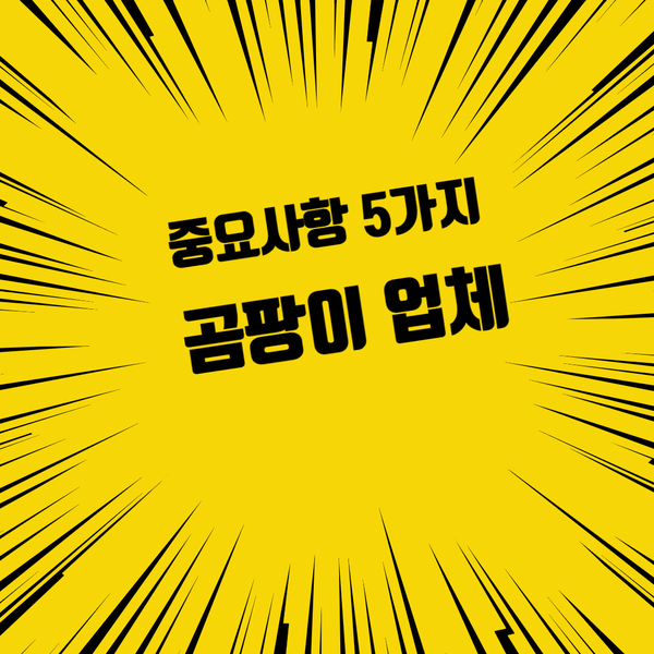 벽 곰팡이 제거 업체 이런게 중요합니다!