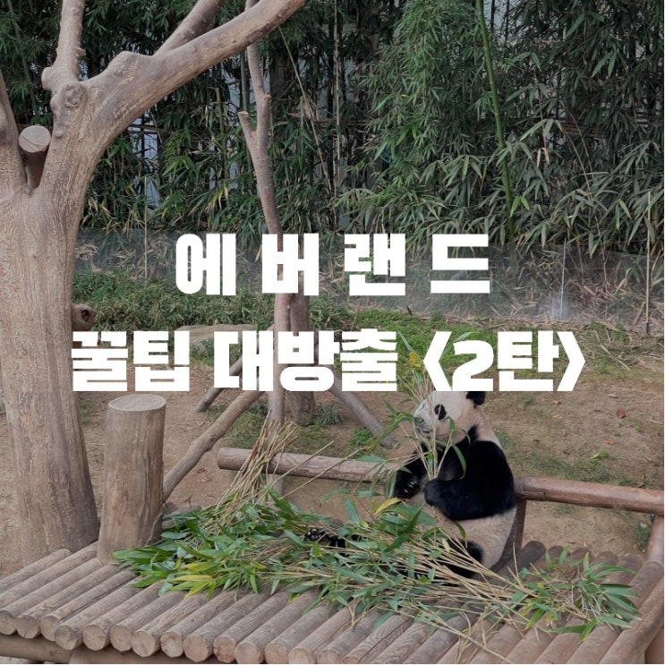  에버랜드 꿀팁 대방출 에버파워 를 모아 레니찬스 이용하기 (2편 판다월드 / 뿌빠타운 / 타이거 밸리)