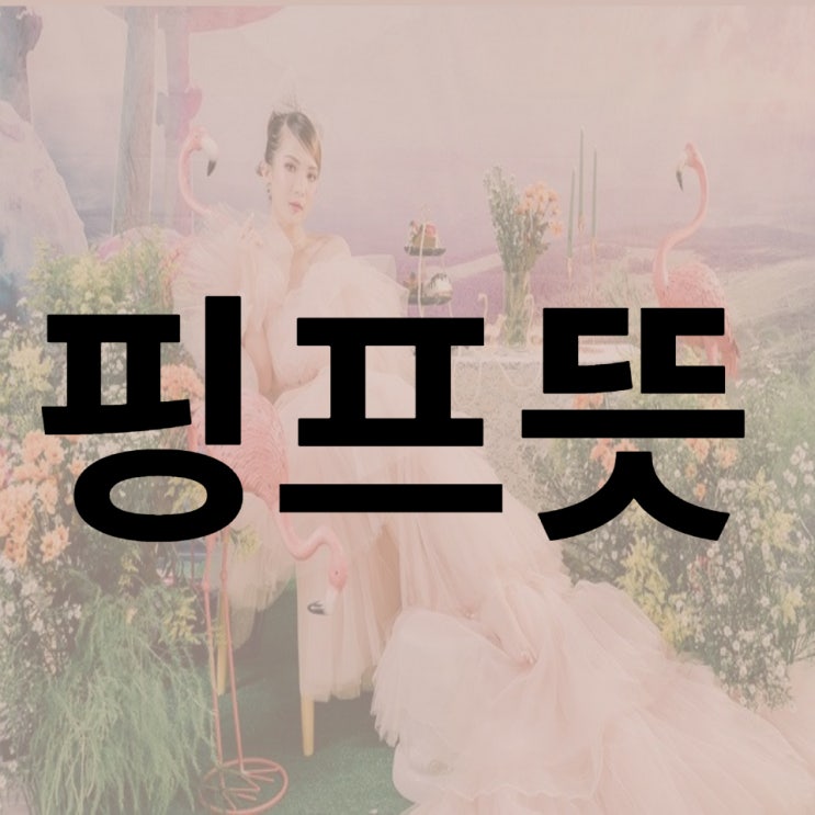  핑프뜻 2021 신조어 이거라구?