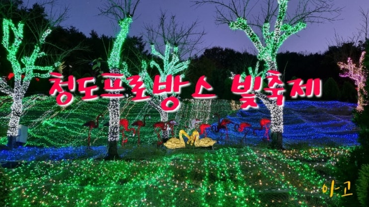  경북 청도 가볼만한곳 청도 프로방스 빛축제, 경북 가을여행지로 딱이야