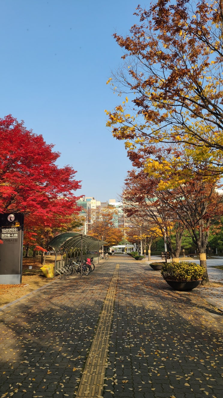  법원도서관(판결정보특별열람실) 방문