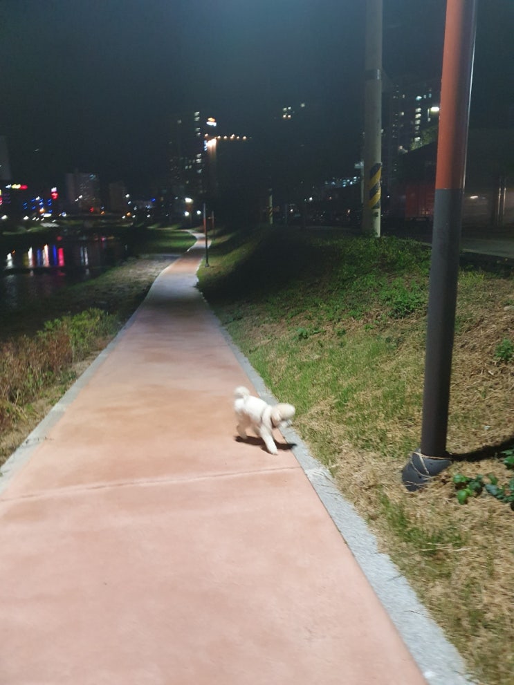  오늘 할것