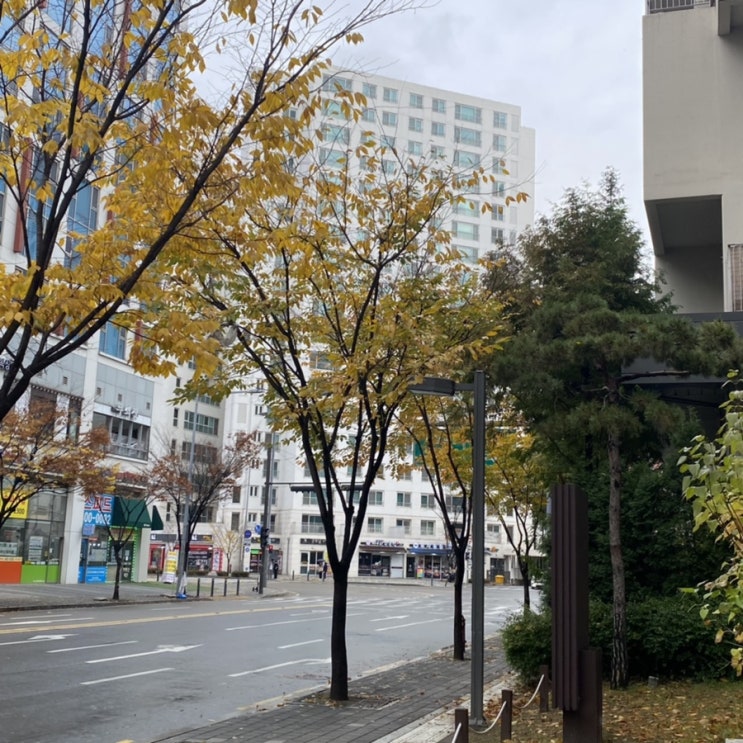  송파구 문정동 프린트 할 수 있는 편의점, 장지역 프린트 가능한 CU 편의점