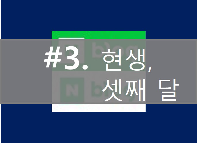  [블린이의 기록] 세 달 차, 현생에 치인 한 달