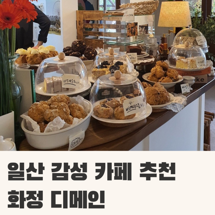 고양 드메인 힐링하기 좋은 디저트 카페 고양 드메인 힐링하기 좋은 디저트 카페
