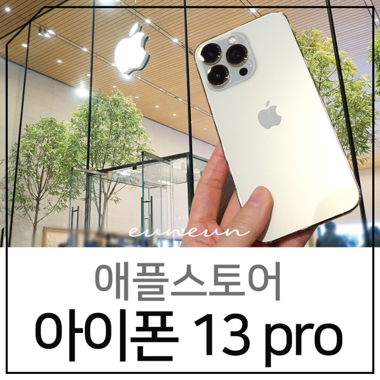 아이폰 13 pro 골드 자급제 애플스토어 가로수길 현장 구매