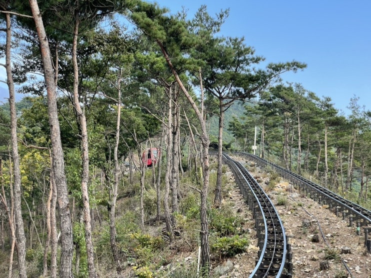  문경여행지 추천 단산모노레일 꼭 경험해보세요