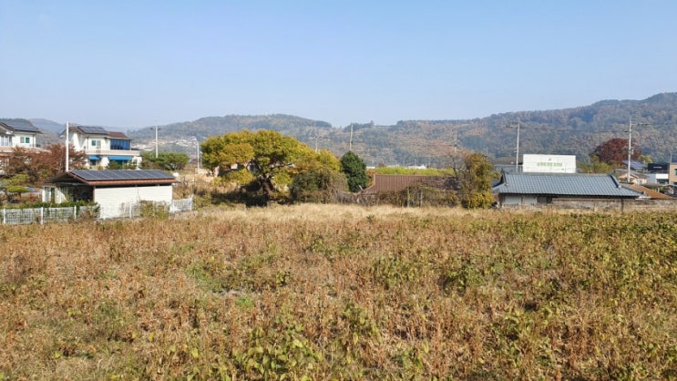 동네야구,,, 딱 그 수준