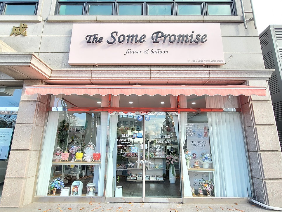 더썸프라미스 사진 1