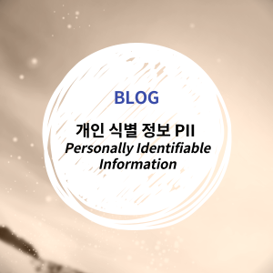 [IT_INFO] 개인 식별 정보, PII(Personally Identifiable Information, 개인 정보)